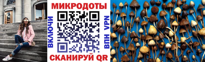 Галлюциногенные грибы Cubensis  Югорск 